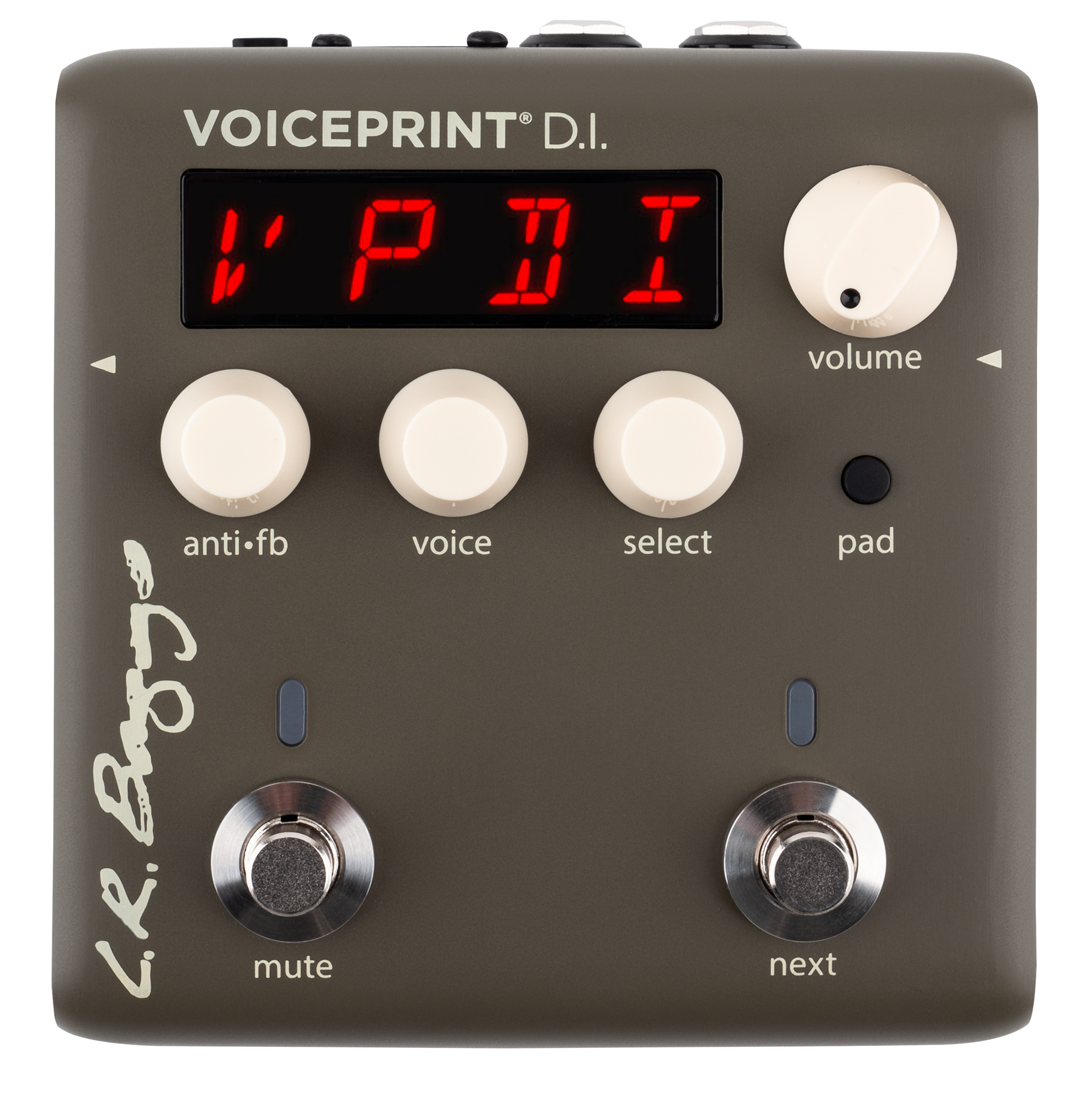 Voiceprint DI