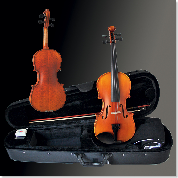 Violingarnitur Mod. 302 1/2
