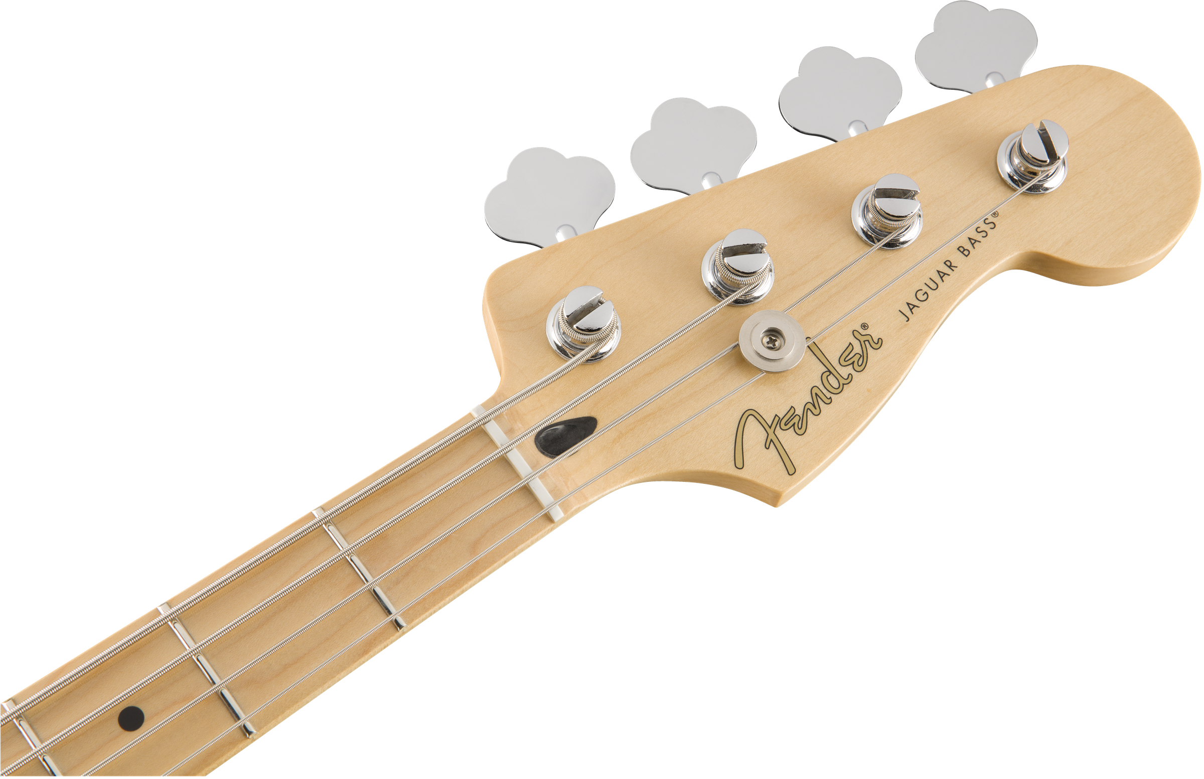Player Jaguar Bass Tidepool