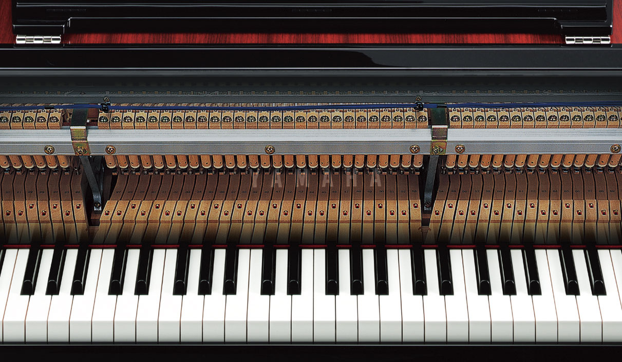 N-3X Avant Grand