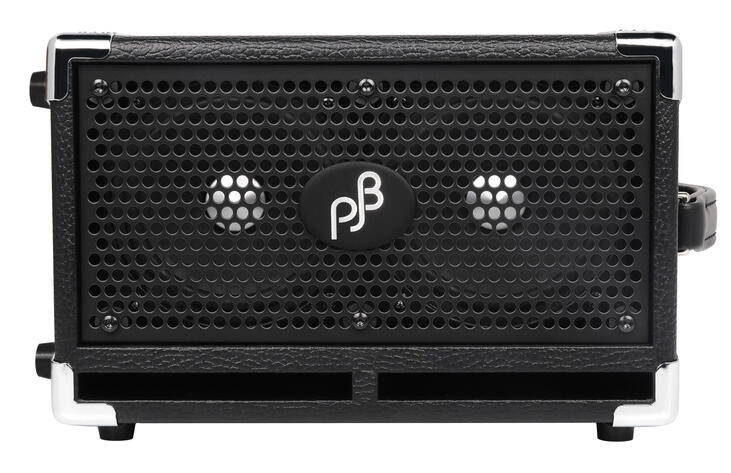 BG-120 Bass Cub Pro - Bass Combo, 120 Watt - Black