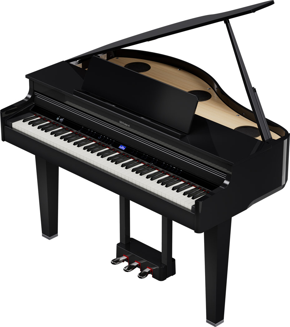GP-6 PE Polished ebony