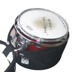 Standard Tom 10x8 5010