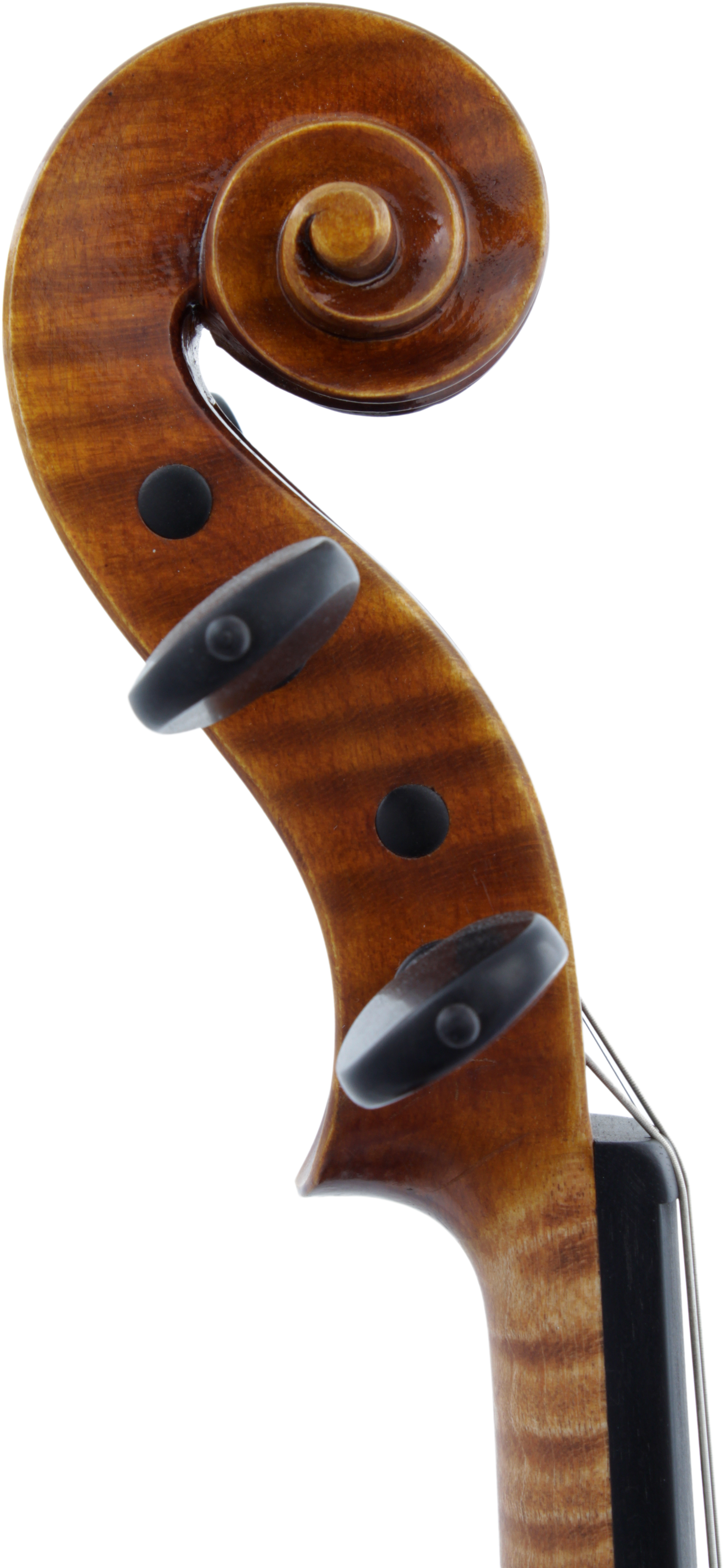 Violine Modell 805 4/4 Größe