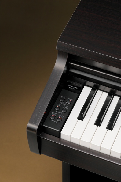 KDP-120 R Rosenholz
