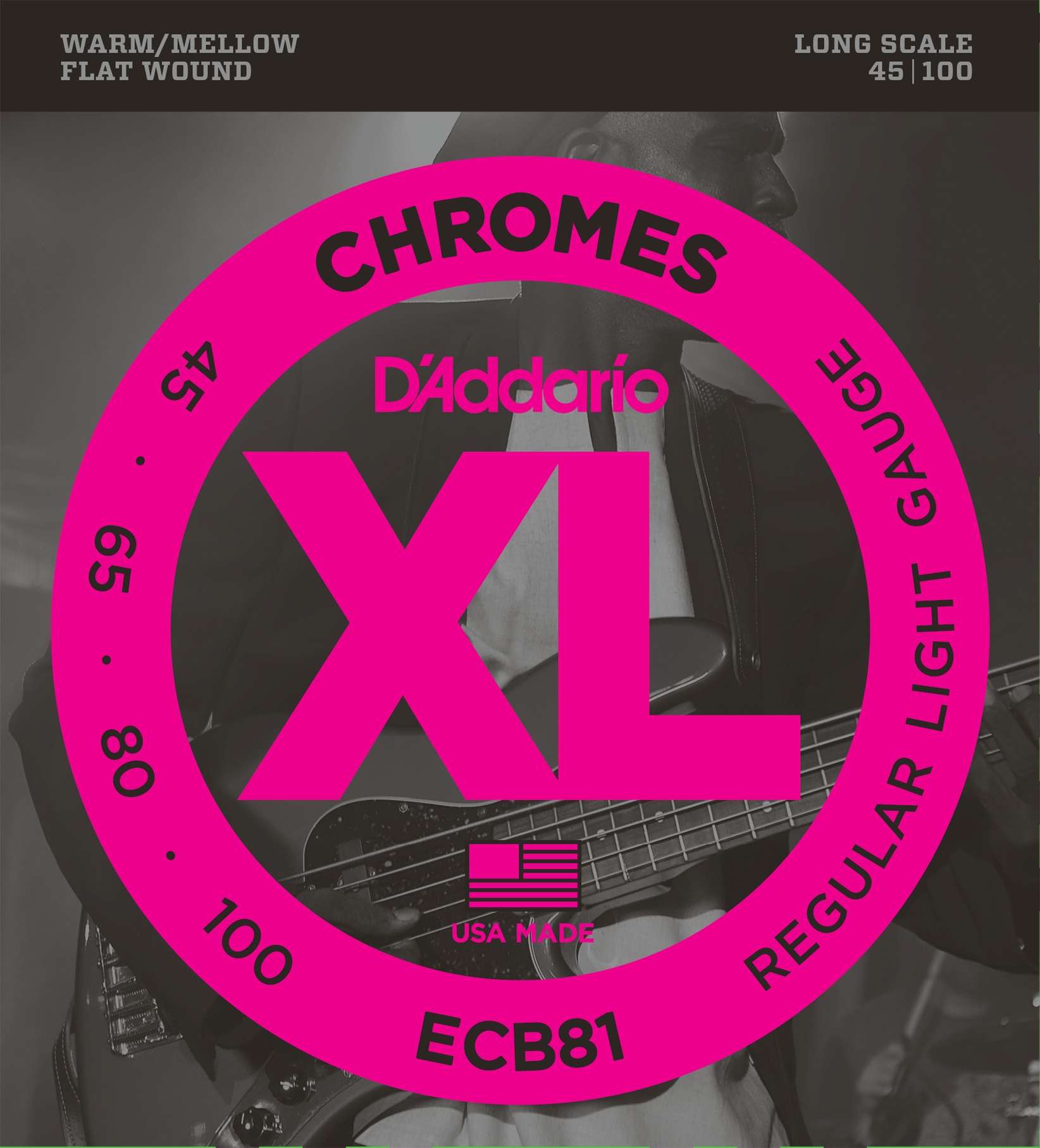 ECB81 Chromes 045 - 100 Flatwound