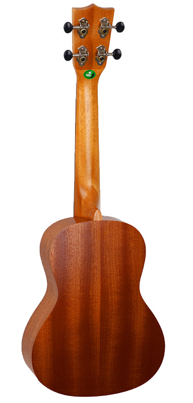 NUC 310 Concert Ukulele Pack