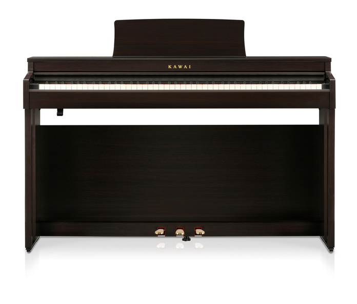 CN-201 R Rosenholz Digitalpiano