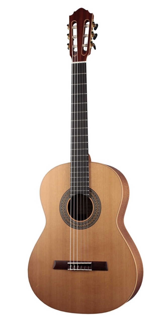 HM65-Z Meistergitarre