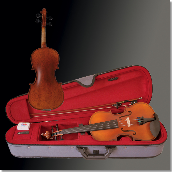 Violingarnitur Mod. 300 1/2