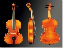 Violine Modell 801 4/4