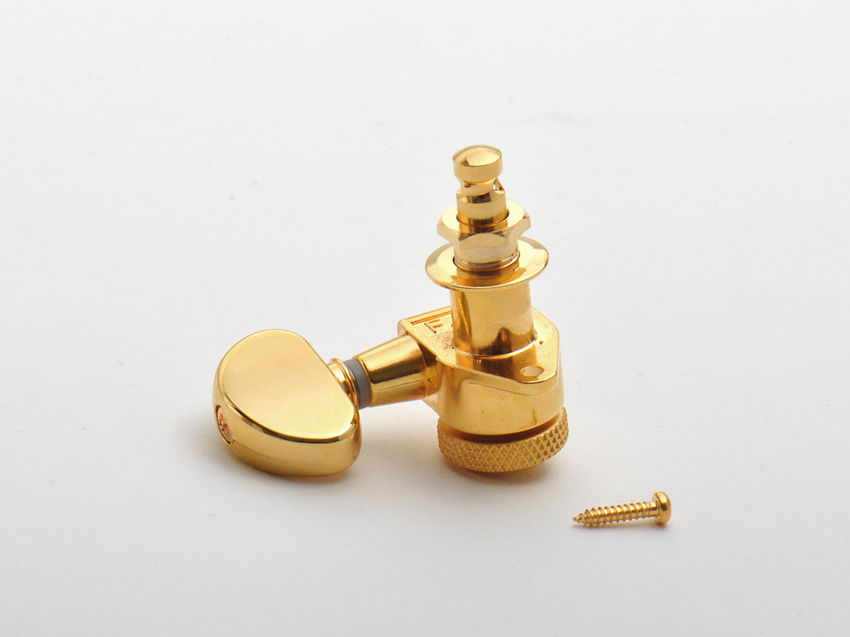 Modern "Backlock" Kidney 3+3 Gold