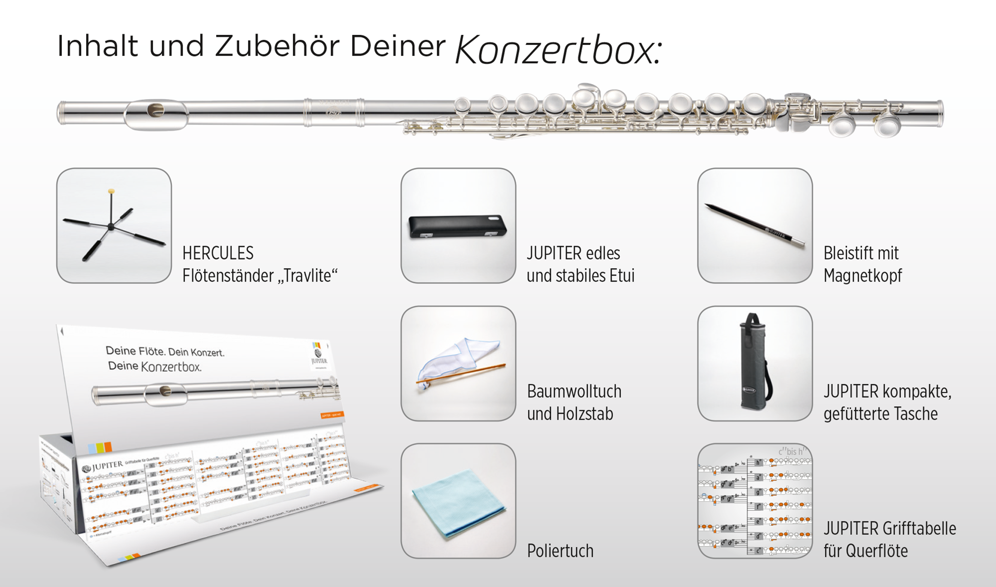 JFL700EC-CBox Neusilberflöte geschlossene Klappen