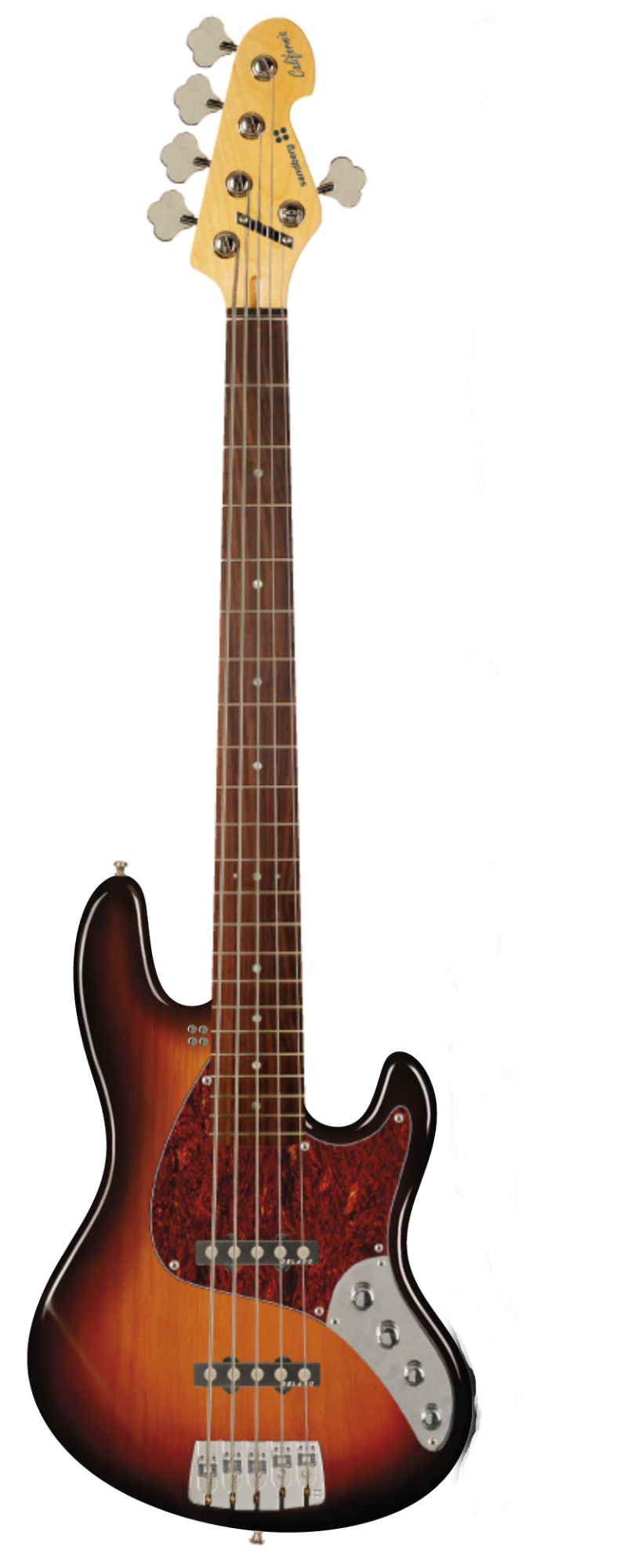 California TT 5-string 51501