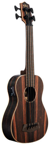 U-Bass Striped Ebony, Fretted, with Deluxe Bag