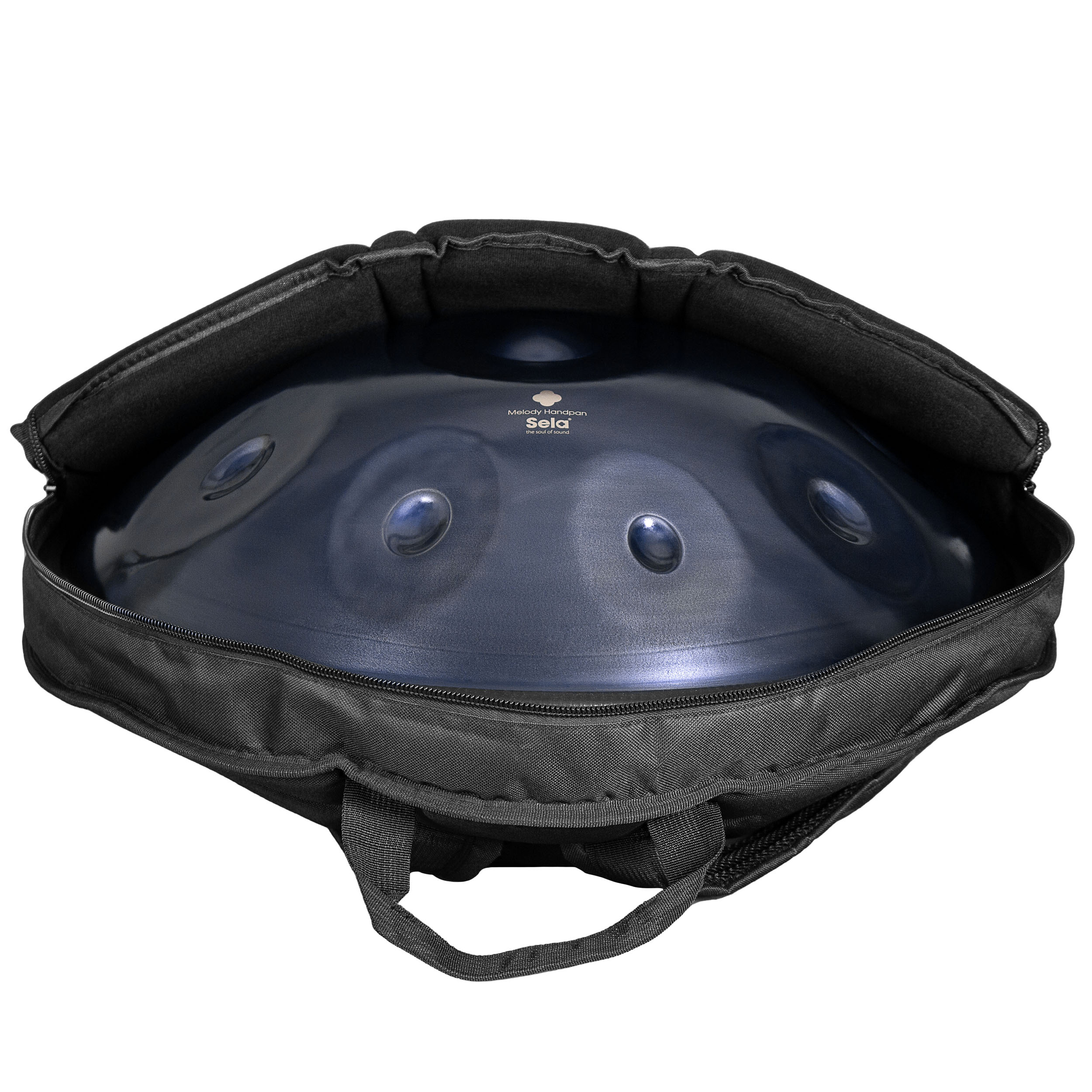 SE 220 Melody Handpan D Kurd