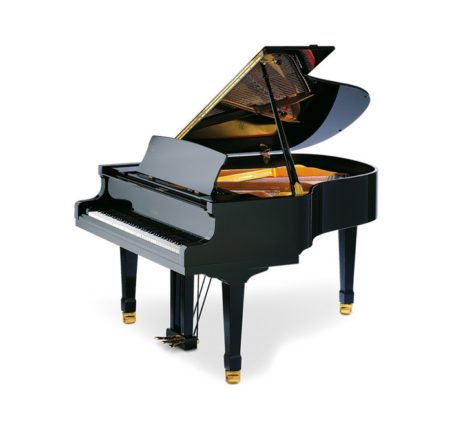 Breeze 173 schwarz glanz #635060