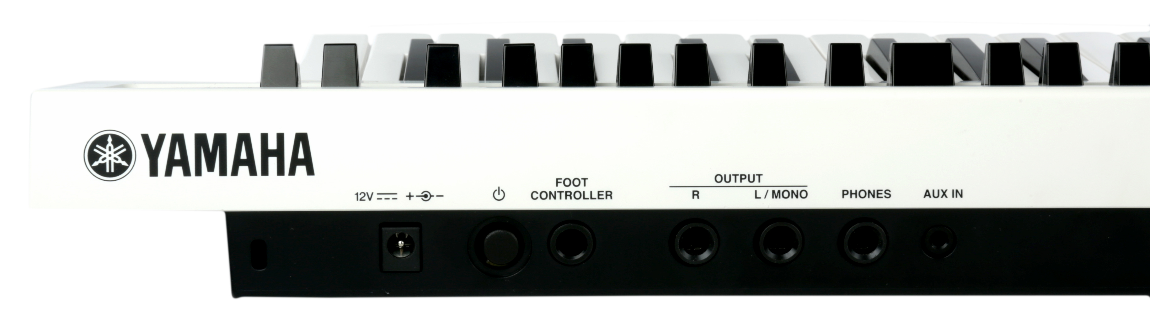 Reface CS Synthesizer