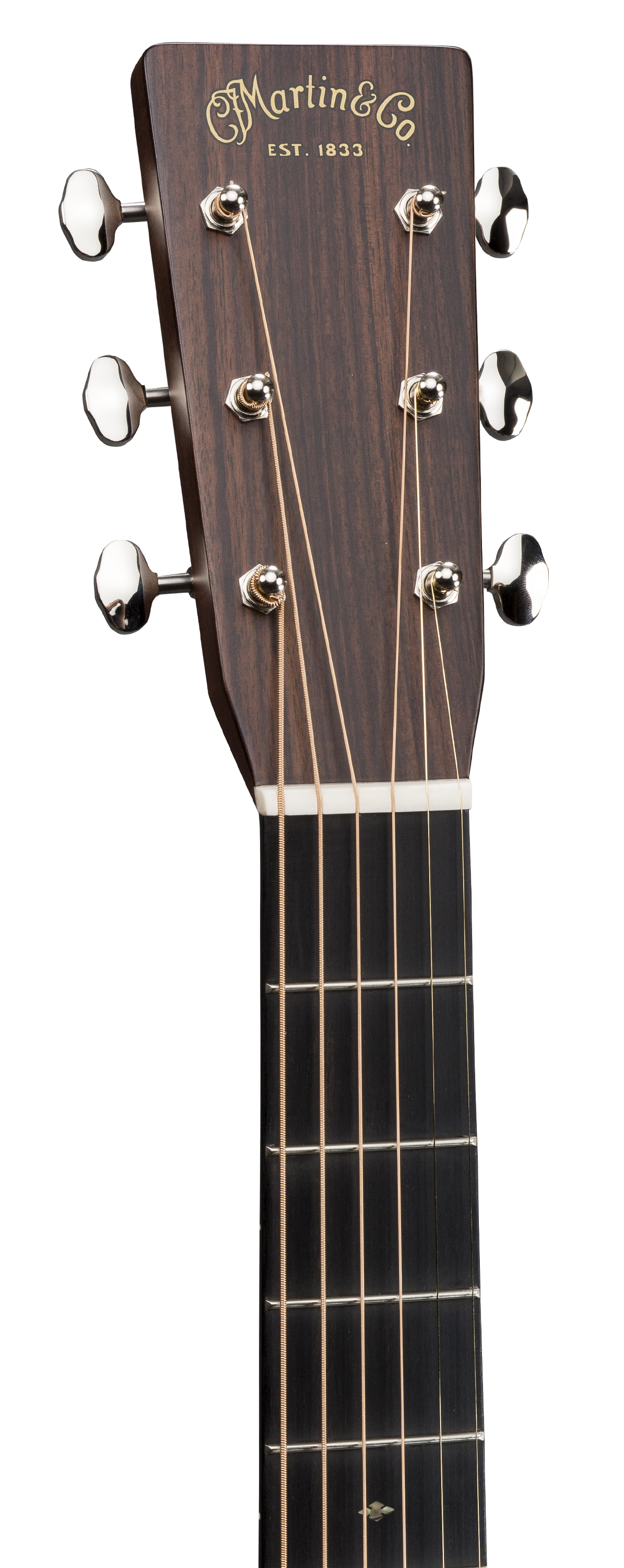 OM-28E LR Baggs Anthem OM-28E LR Baggs Anthem