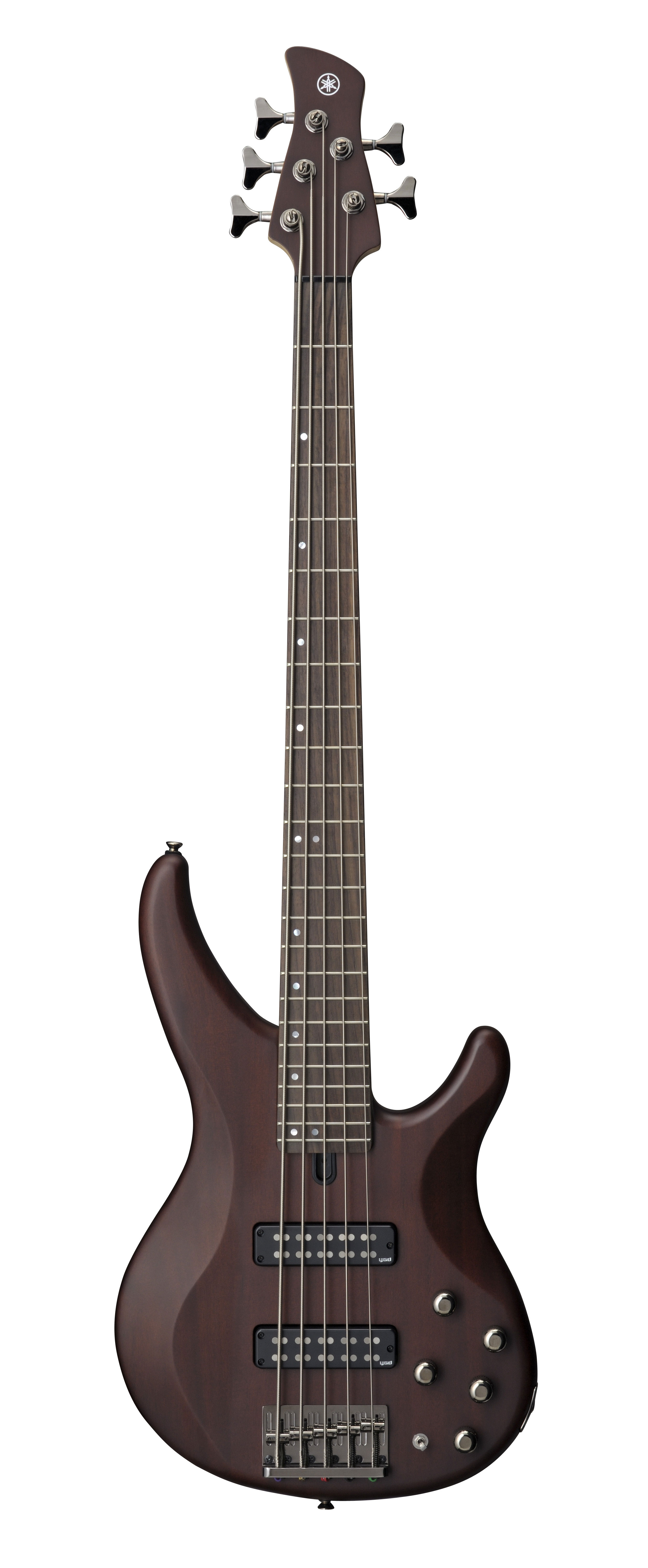 TRBX 505 translucent Brown 5-Saiter E-Bass