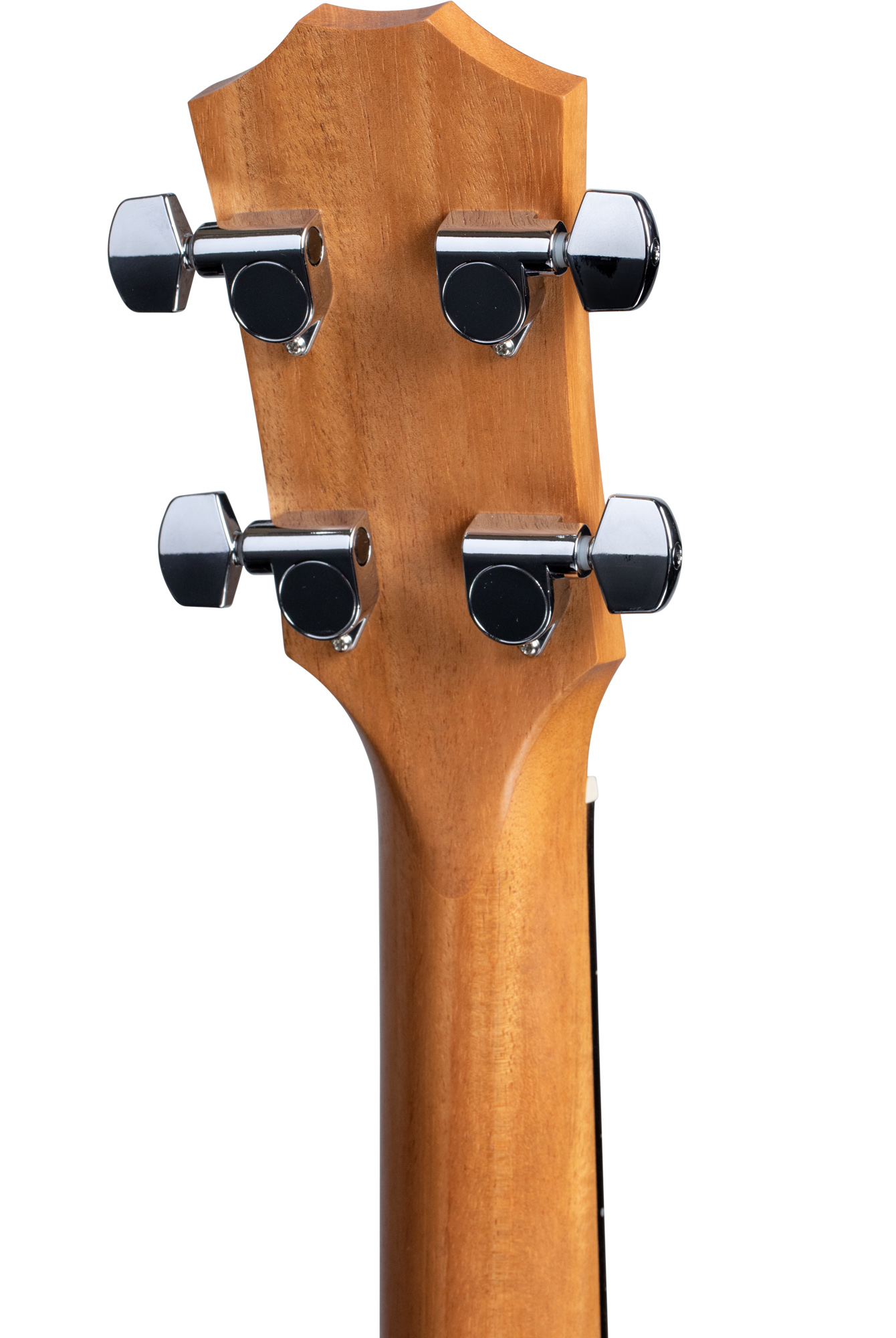 GS Mini-e Koa Bass, ES-B