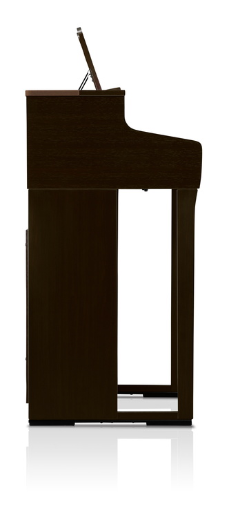 CA-501 R Set mit Klavierbank, Kopfhörer, Notenheft Rosenholz
