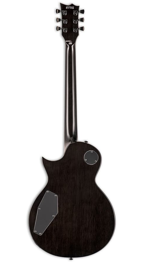EC-1000T Black Natural Burst