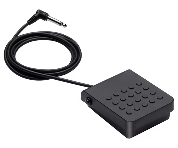 SP-3 Sustain Pedal