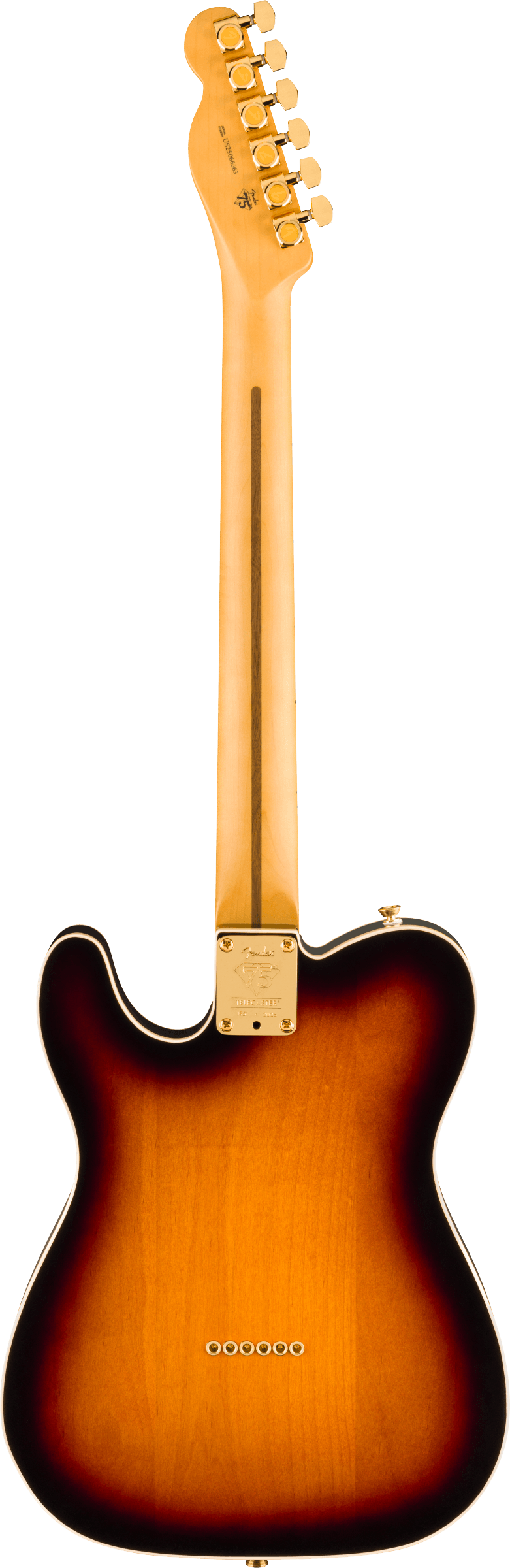 75th Anniversary American Professional Custom Telecaster MN 2-Color Sunburst