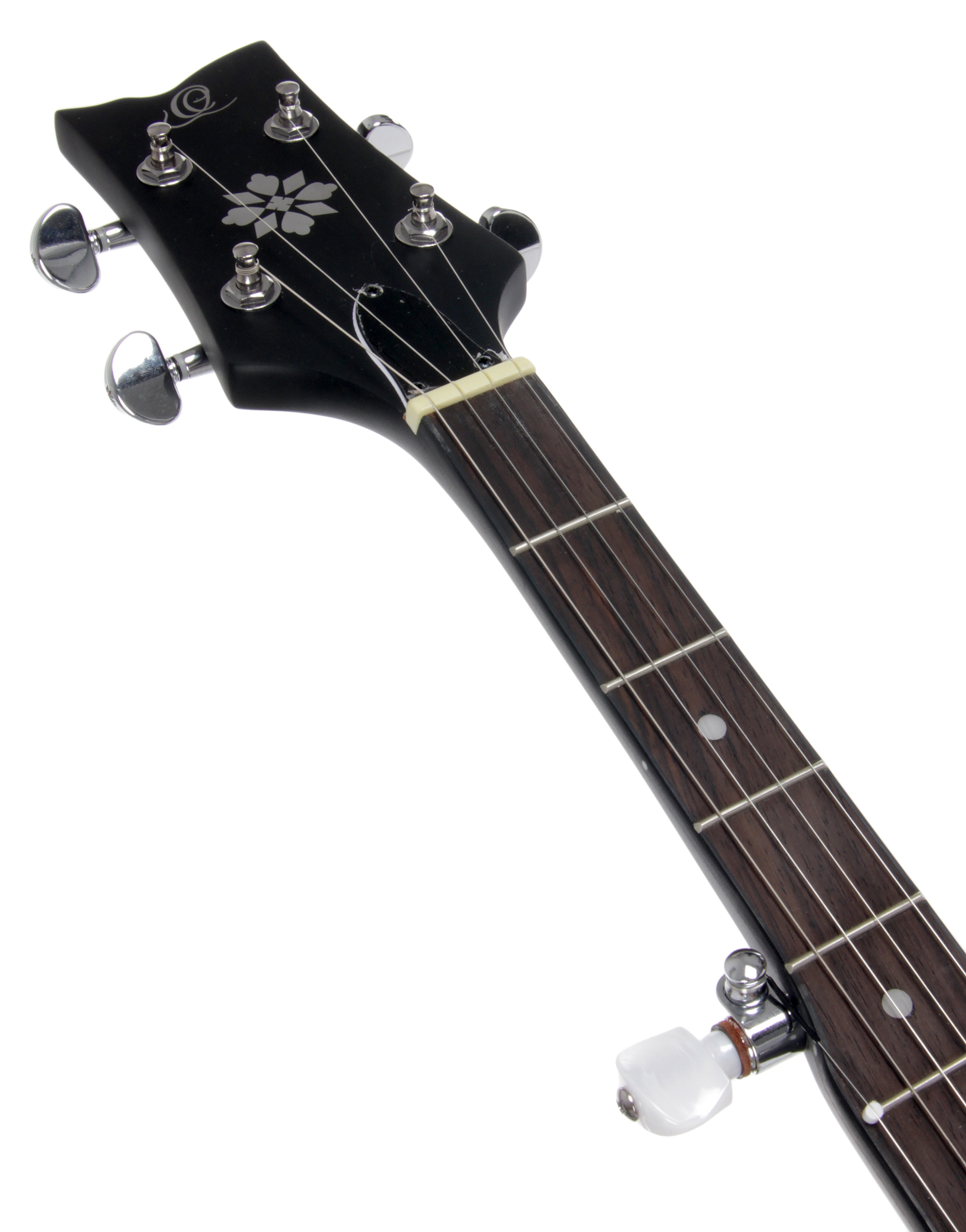 Banjo 5-str. open back incl. PU Banjo 5-str. open back incl. PU