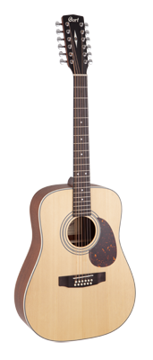 Earth 70 12-String Open Pore