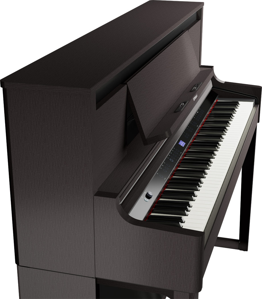 LX-6 DR Digitalpiano dunkles Palisander