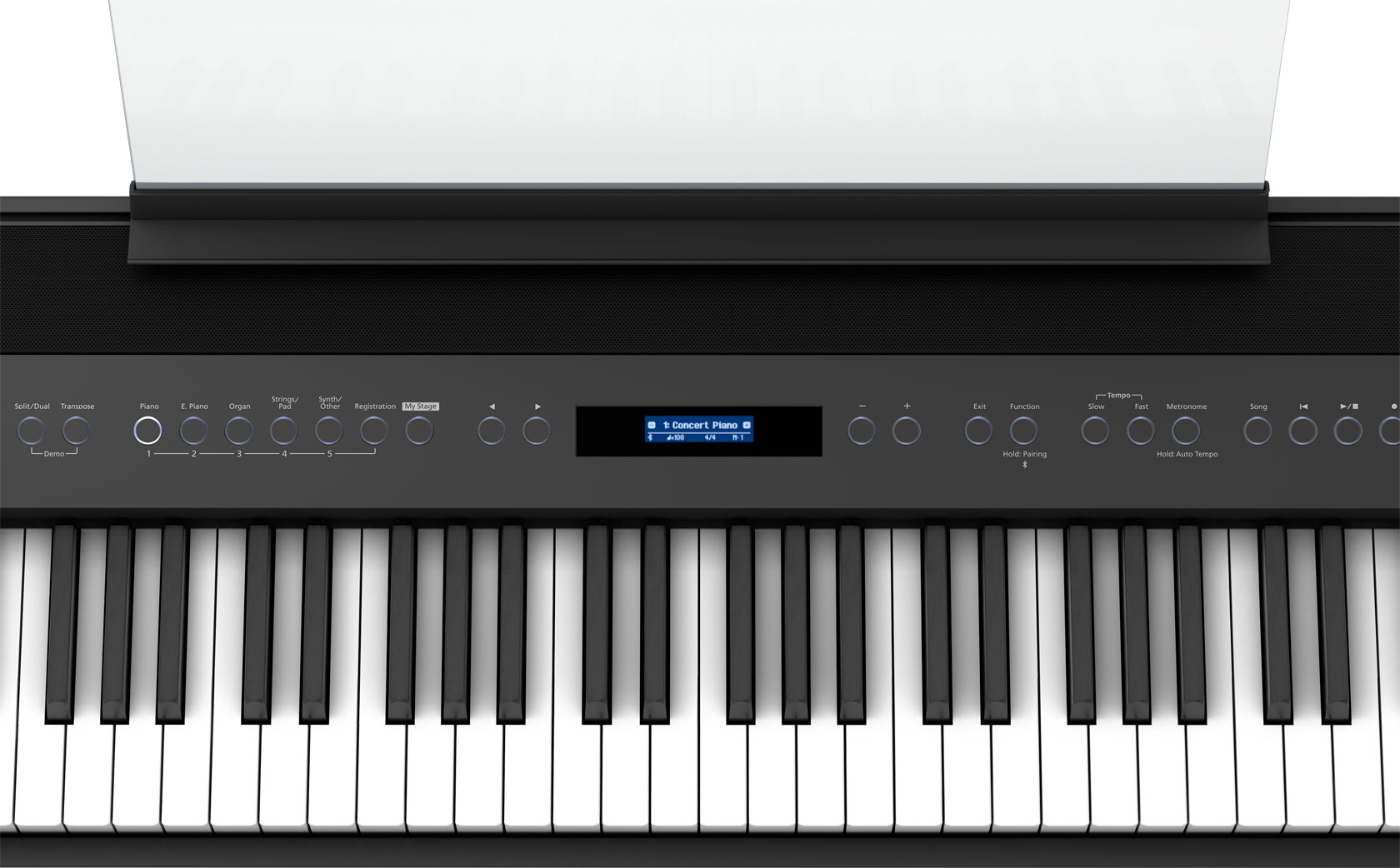 FP-60X BK Schwarz FP-60X BK Schwarz