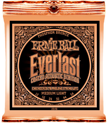 Everlast Coated 012 - 054 Phosphor Bronze