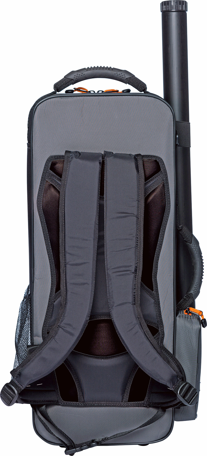 Violinetui Peak 2001SN