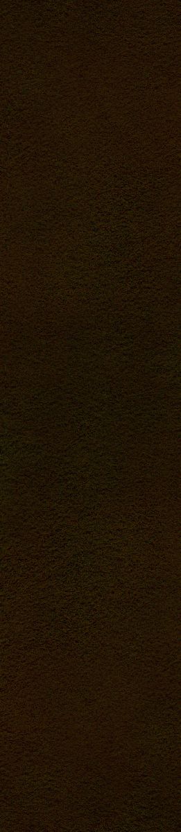 25SS01-DX Ledergurt Cognac