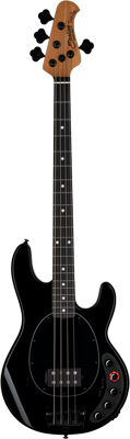 DarkRay Bass 4-String DarkRay Bass 4-String