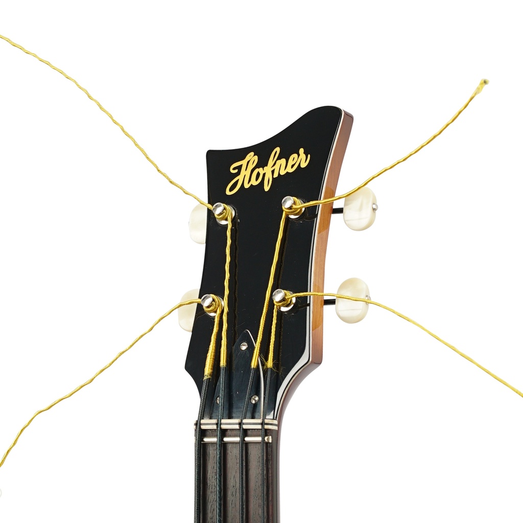 Violin Bass Rooftop '69 Violin Bass Rooftop '69