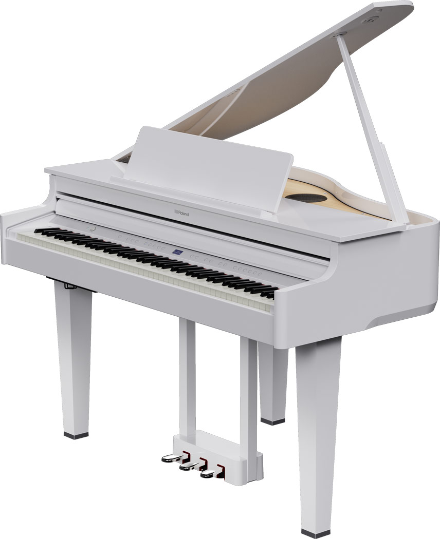 GP-6 PW Polished White