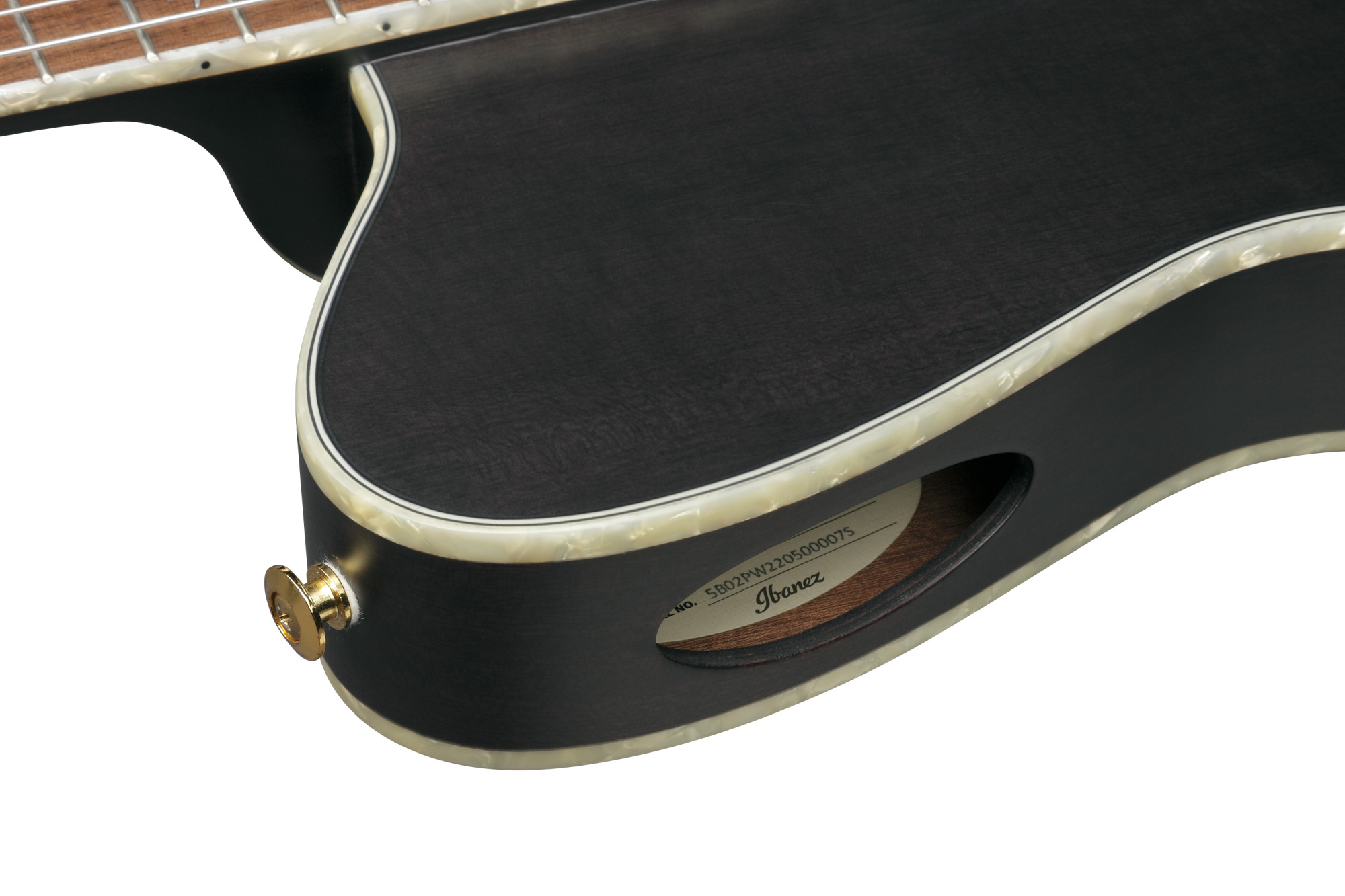 Tim Henson, Nylon String Transparent Black Flat