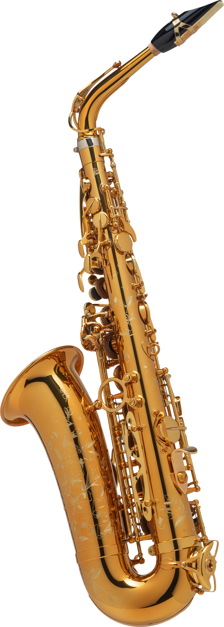 Supreme Altsaxophon dunkler Goldlack SE-ASUL