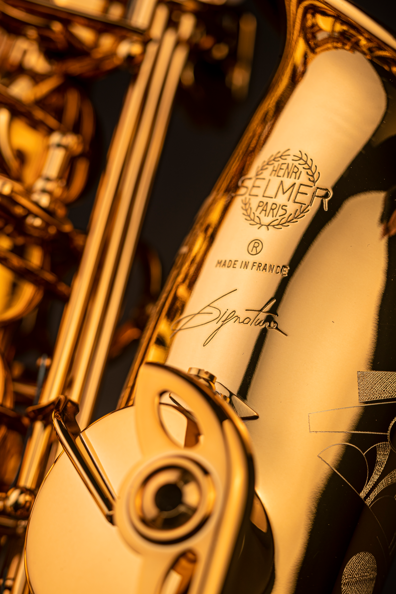 Signature Altsaxophon Goldlack