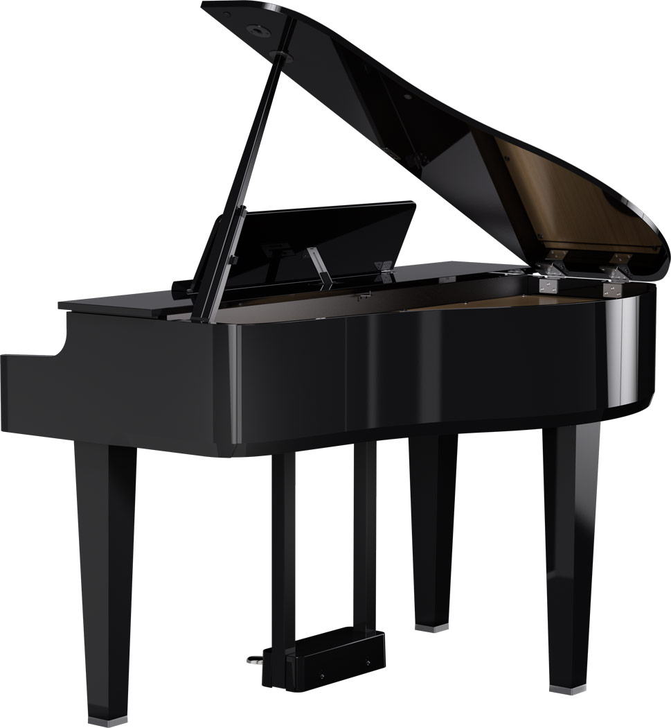 GP-6 PE Polished ebony