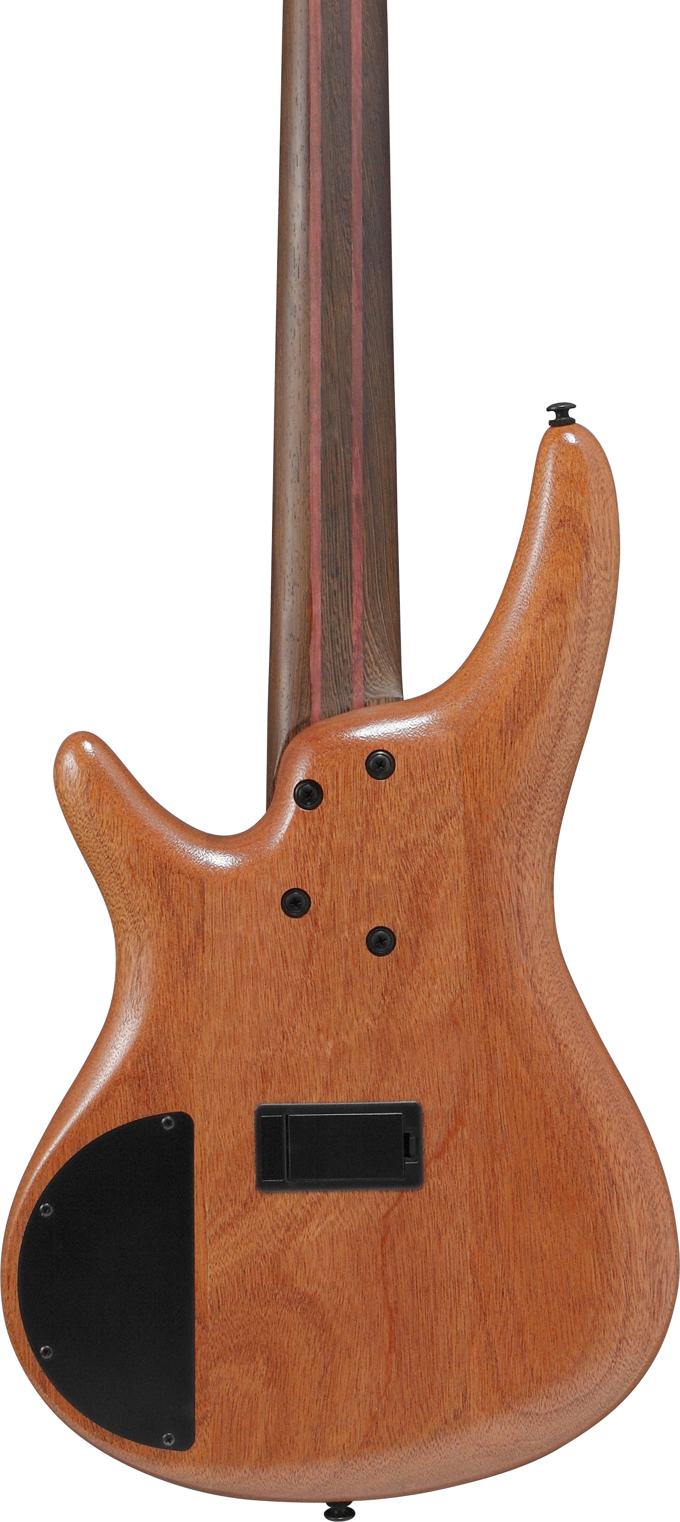 SR 5-Str Natural Low Gloss SR 5-Str Natural Low Gloss