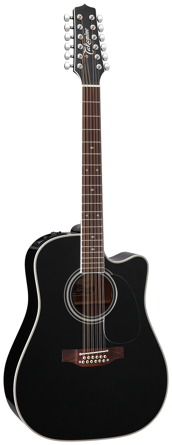 EF381SC 12-String