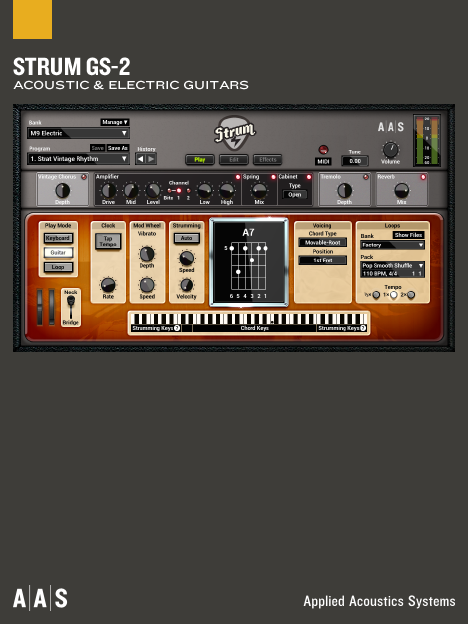 Strum Acoustic GS-1 download