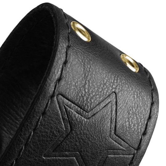Mike Dirnt Signature Black / Gold Mike Dirnt Signature Black / Gold