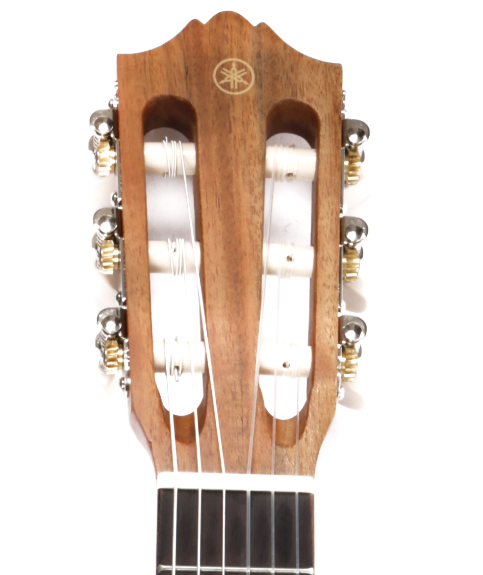 GL 1 Guitalele mit Tasche