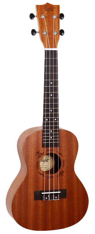 NUC 310 Concert Ukulele Pack