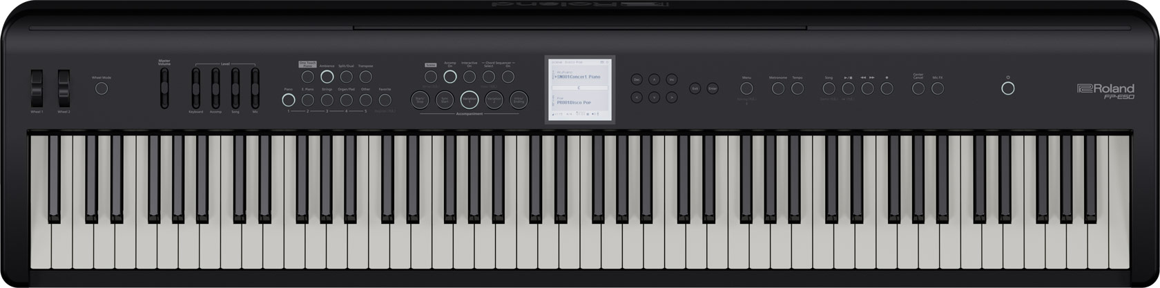 FP-E50 Entertainer Stagepiano FP-E50 Entertainer Stagepiano